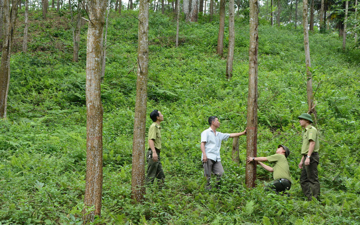 lam nghiep