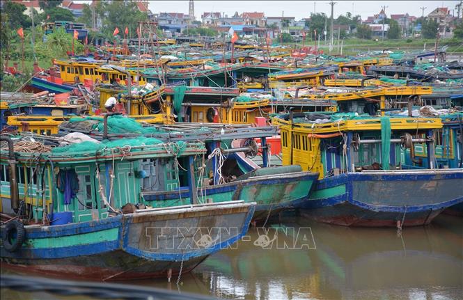 nam dinh iuu 010824 2