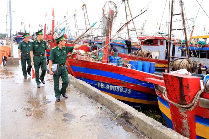 thai binh iuu 010824 1