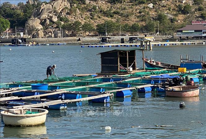 ninh thuan 010622