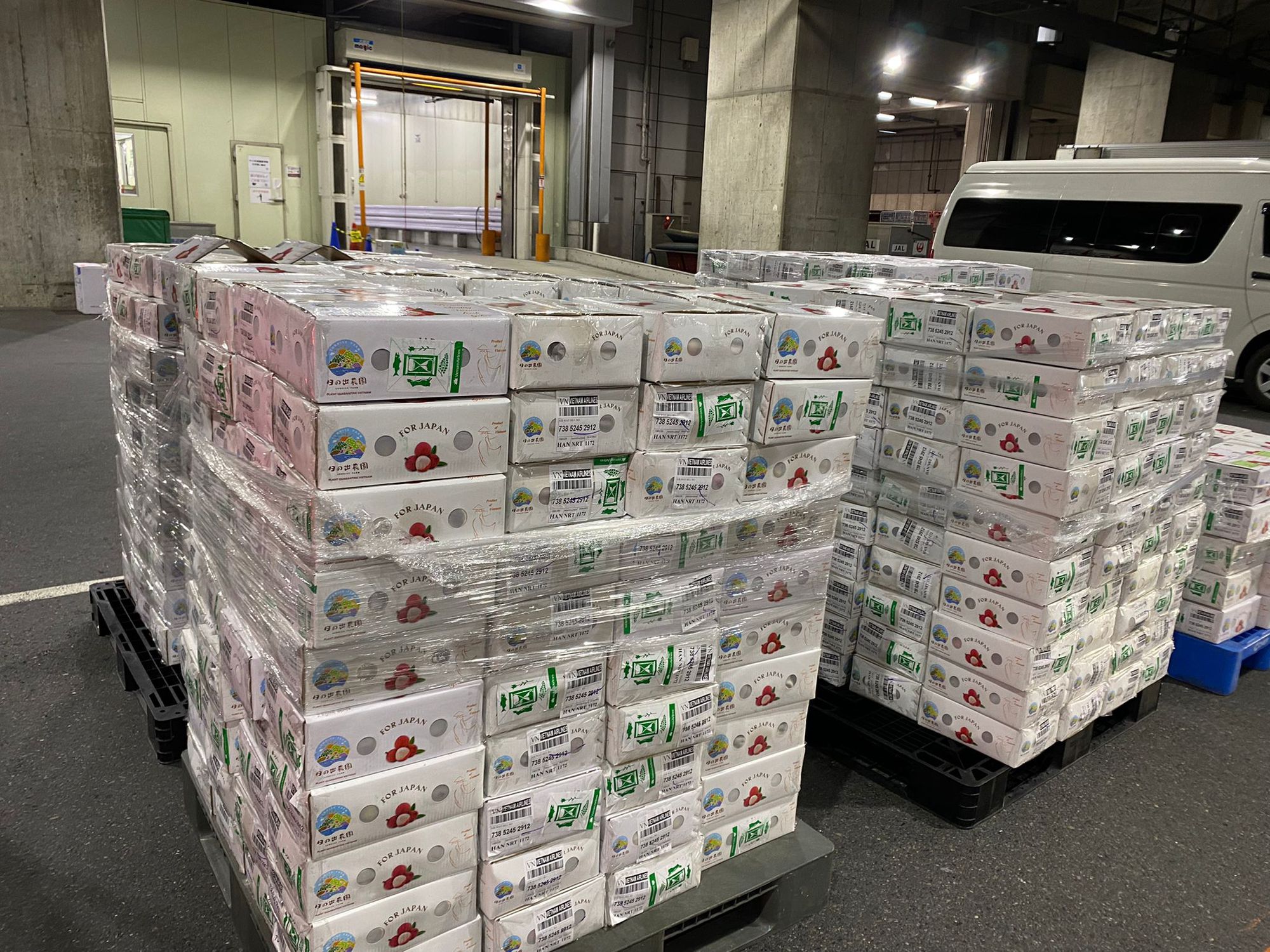 vai 16544254560731714490661