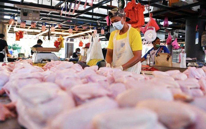 Chicken Ayam Bernama 1