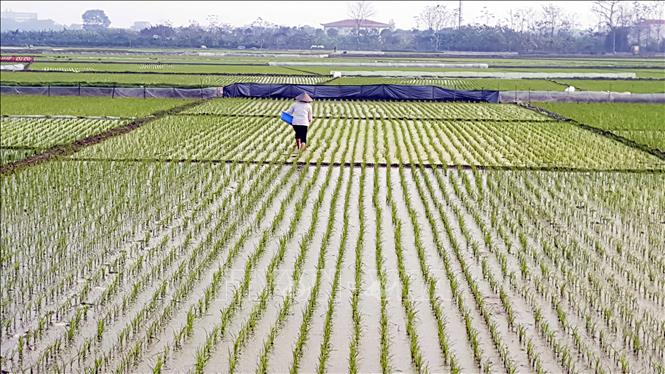 nong nghiep tuan hoan 2242022