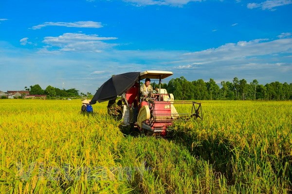 vnp 1009 nong nghiep