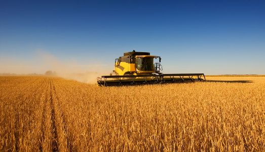 Agriculture-13
