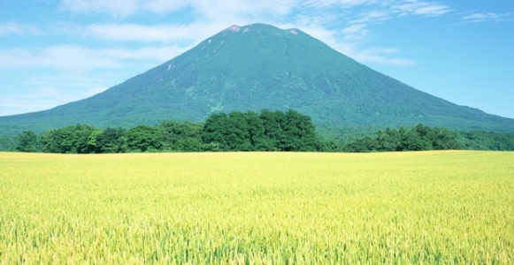 Japan-agriculture