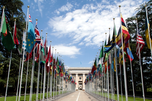 WTO-nation-flag