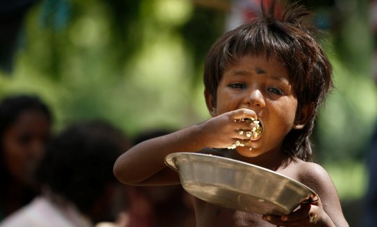 food-security-1