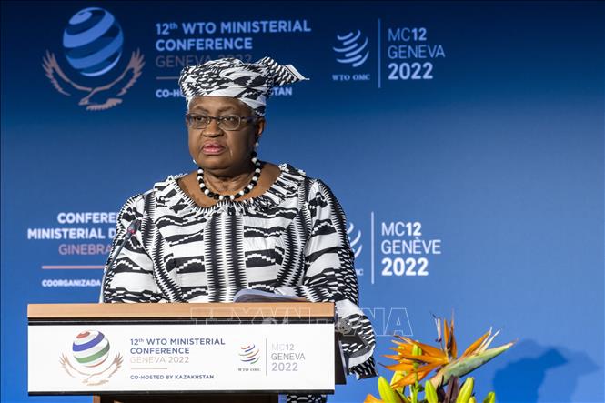 wto 17622