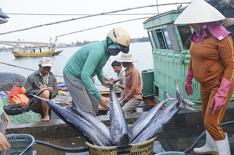 chong khai thac iuu20221119053946