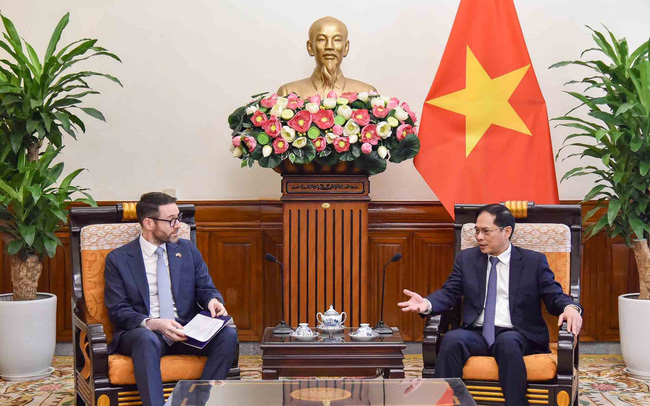 vn anh