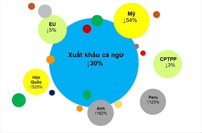 xk ca ngu