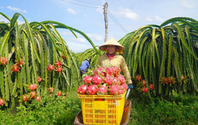 thanhlong