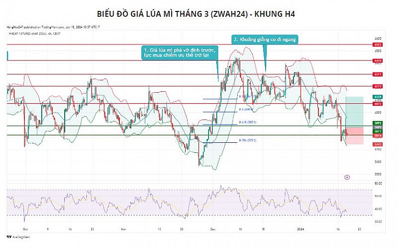2 tin17 19.01.2024