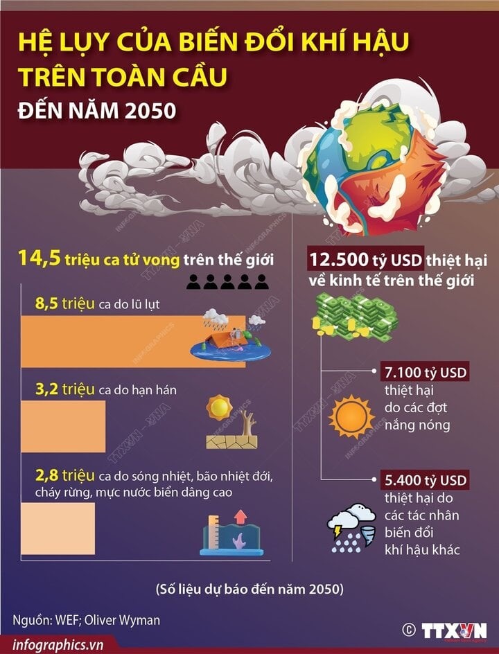 1 tin14 30.01.2024