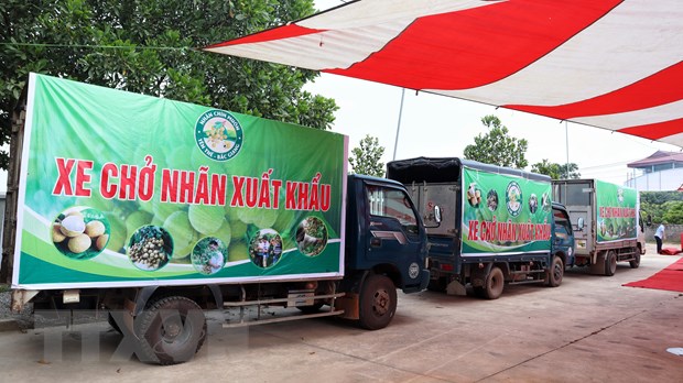 ttxvn xuat khau nhan australia