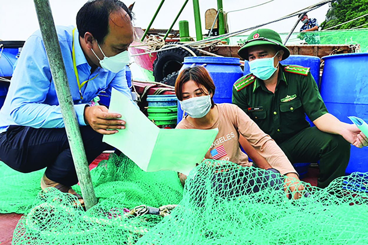 da nang