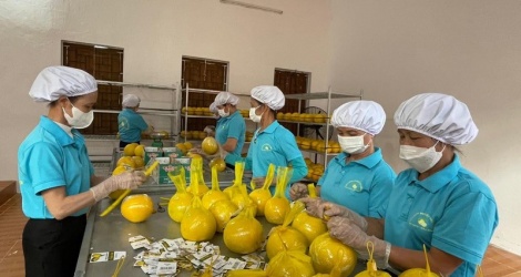 hang viet hoi ha sang anh1671122555
