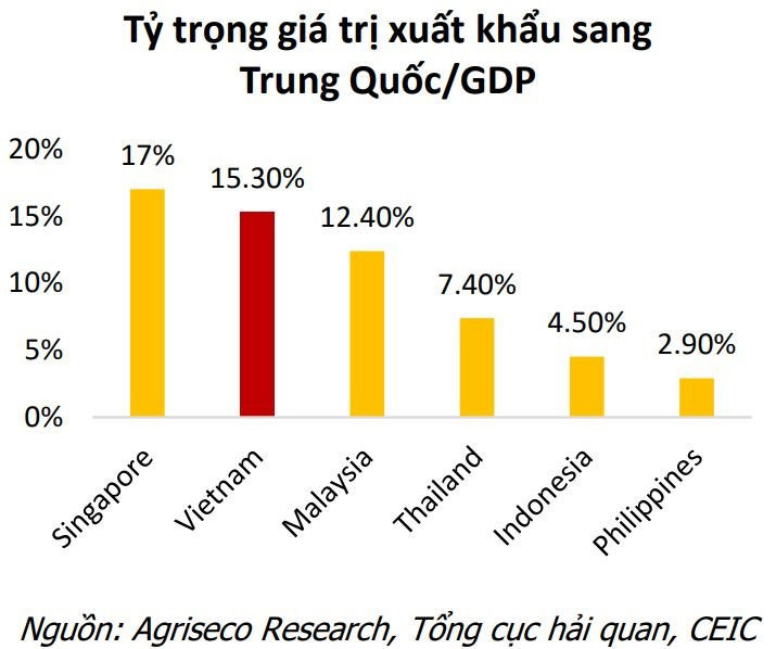 trên dịch vụ