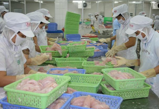 tq mở cửa