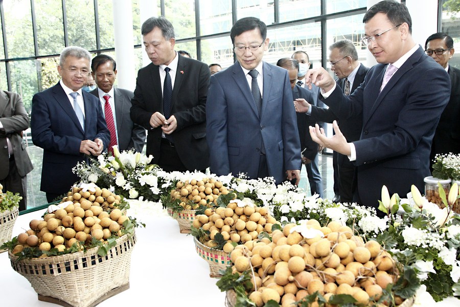 tân hoa xã