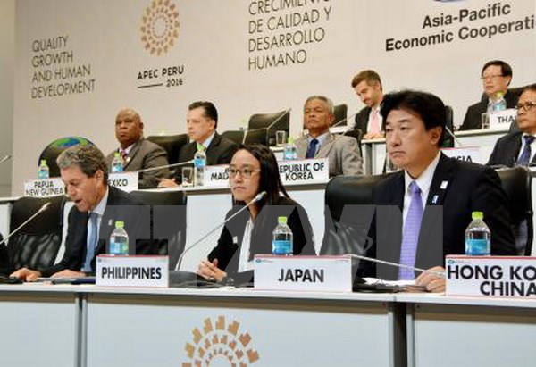 APEC 