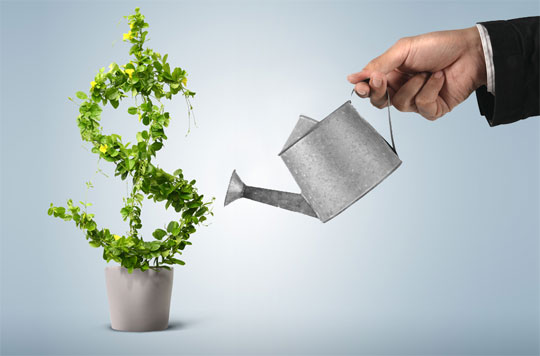 Business-Growth 3