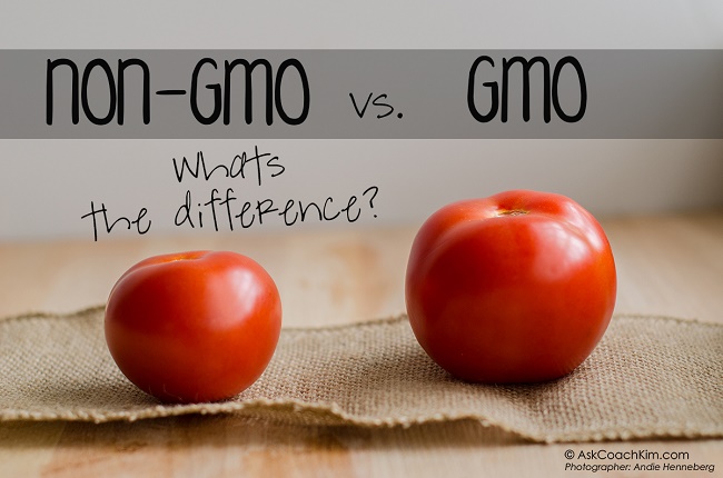 GMO-Feature