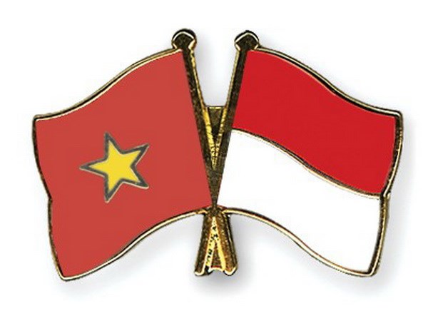 VietnamIndonesia