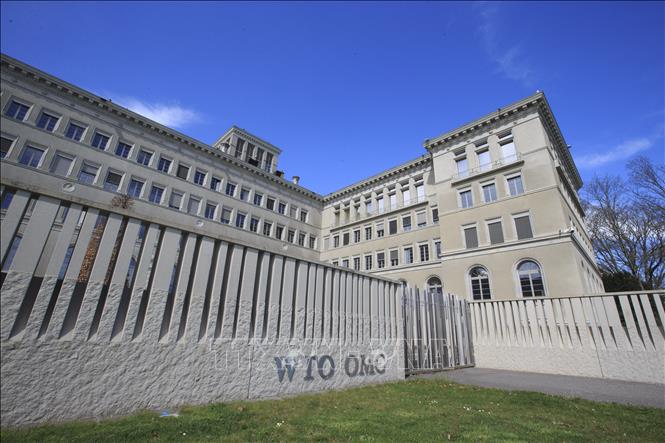 WTO18062019