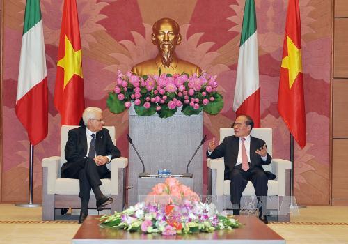 Viet Nam - Italy