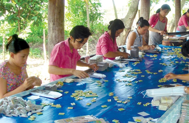 bảo hộ sản phẩm