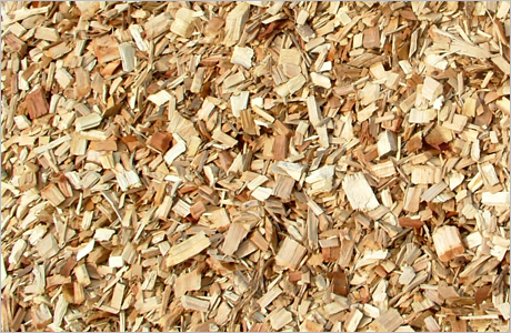 dăm gỗ XK