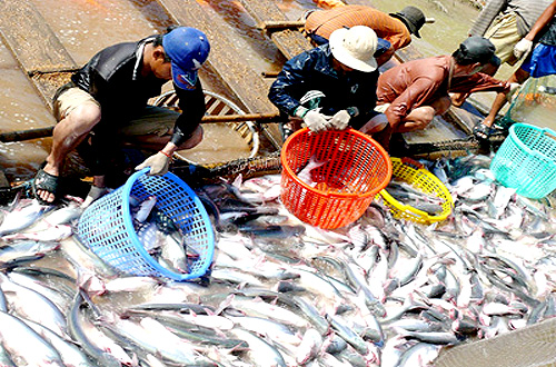 khai thác thủy sản