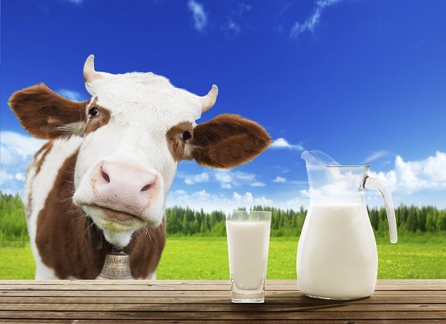 milk