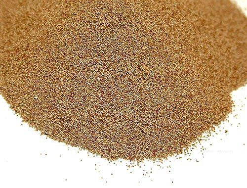 trứng Artemia 2