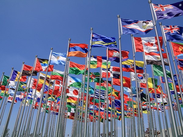 wto 6