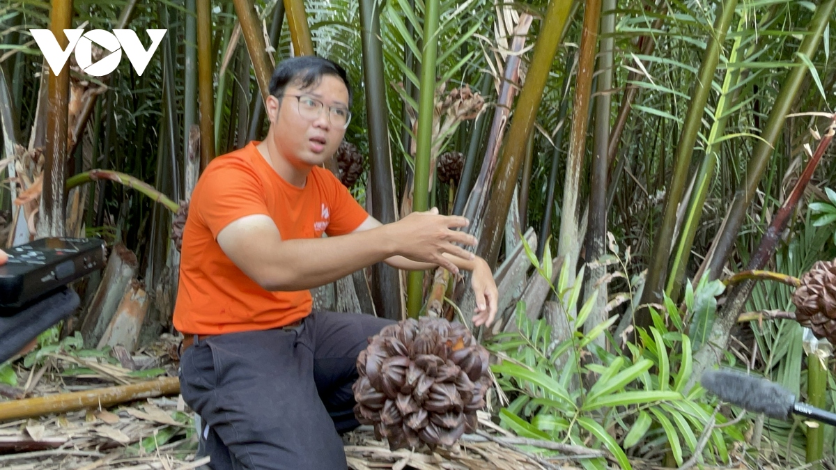 con duong thuong mai hoa tin chi carbon