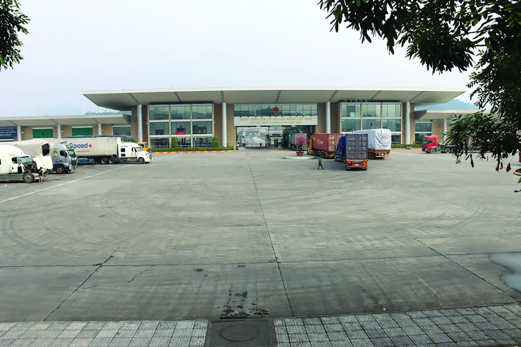 8 binh 15.01.2025