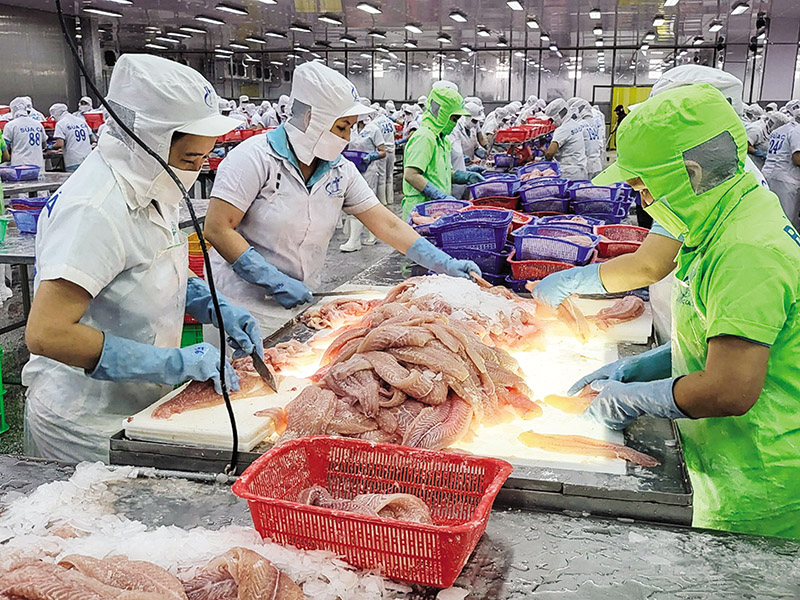 2 binh 12.02.2025