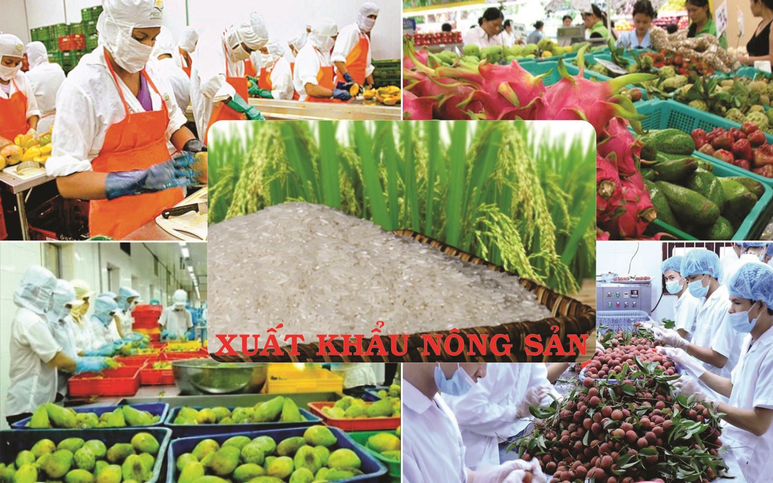 1 binh 13.02.2025