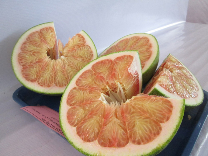 bưởi