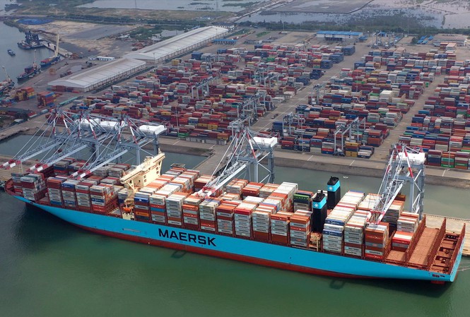 container 7 hmmu