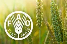fao2204