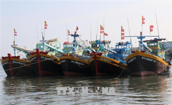 giam sat hanh trinh tau ca binh thuan 16920