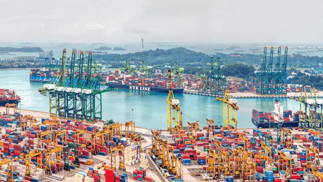 singapore 1657690943678435012798