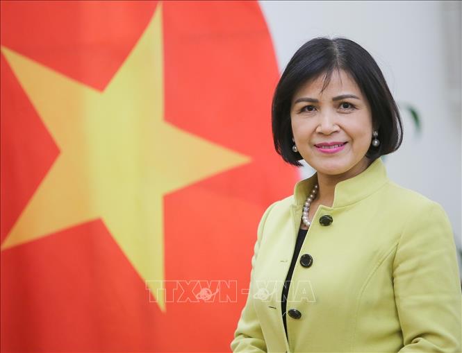le thi tuyet mai