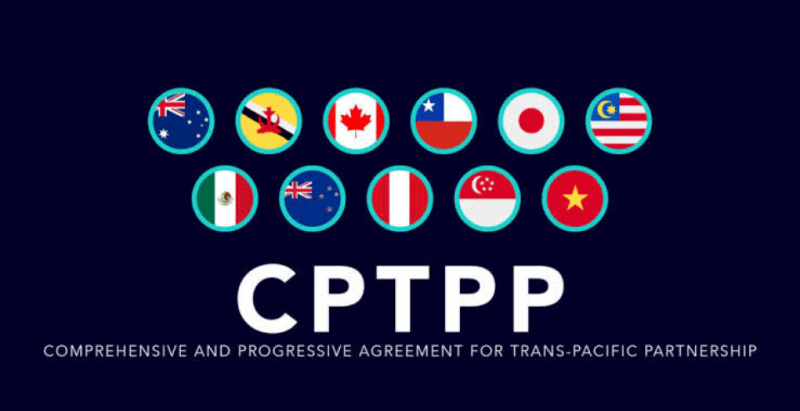 mau thuan noi bo noi cac thai lan chua xem xet de xuat tham gia hiep dinh cptpp