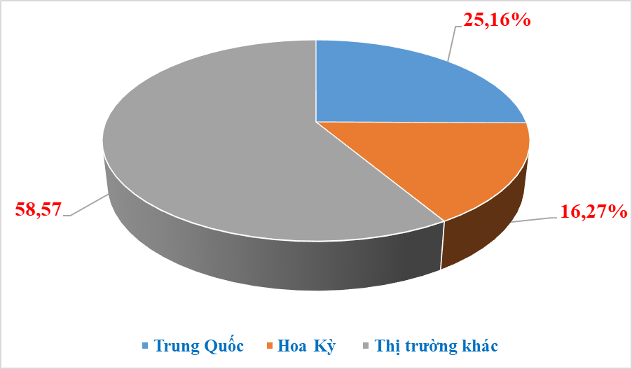 13 tin1 20.02.2024