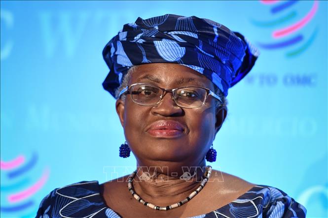 nigeria wto 291020